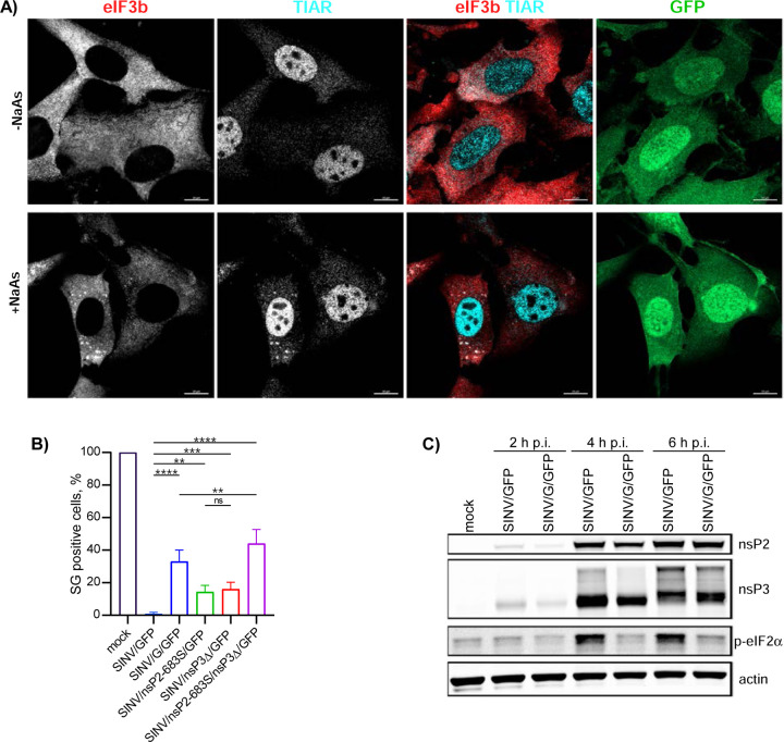 Fig. 12.