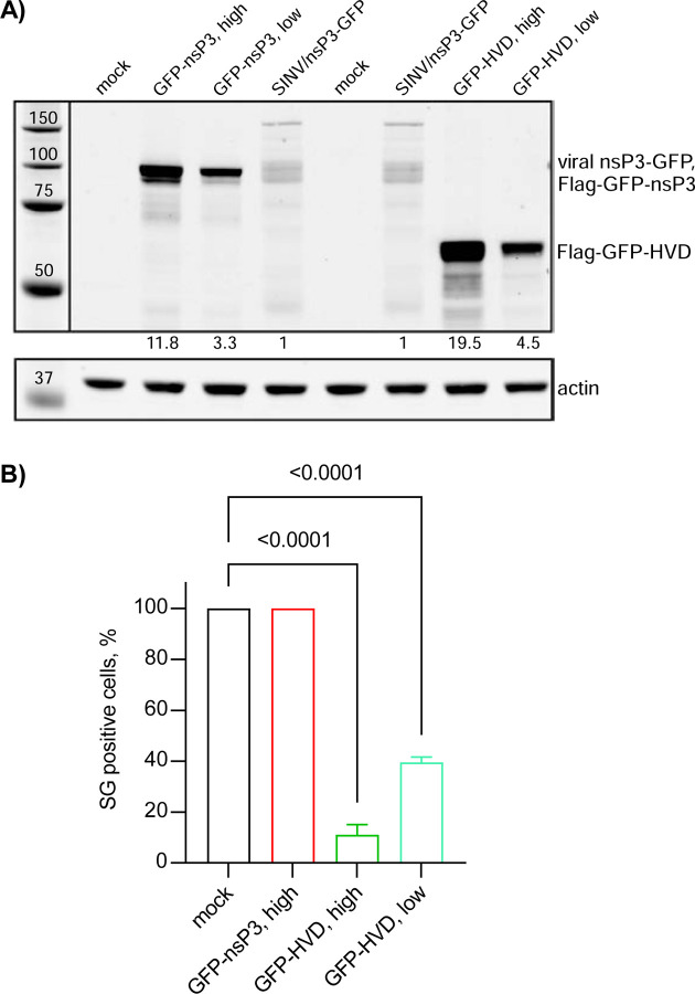 Fig. 10.