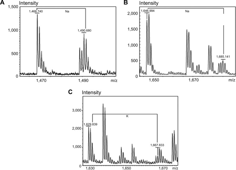 Figure 6