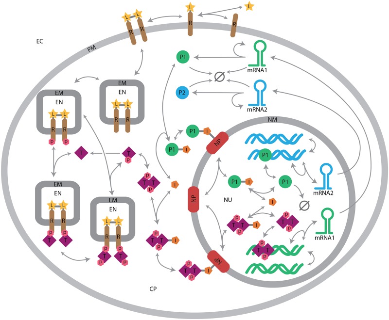 Fig 6