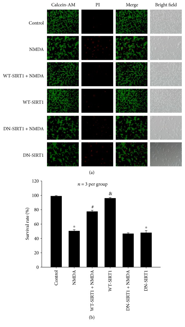 Figure 11