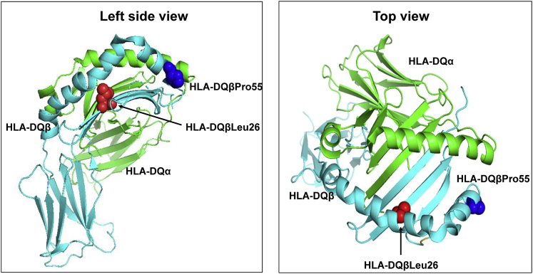 Figure 4