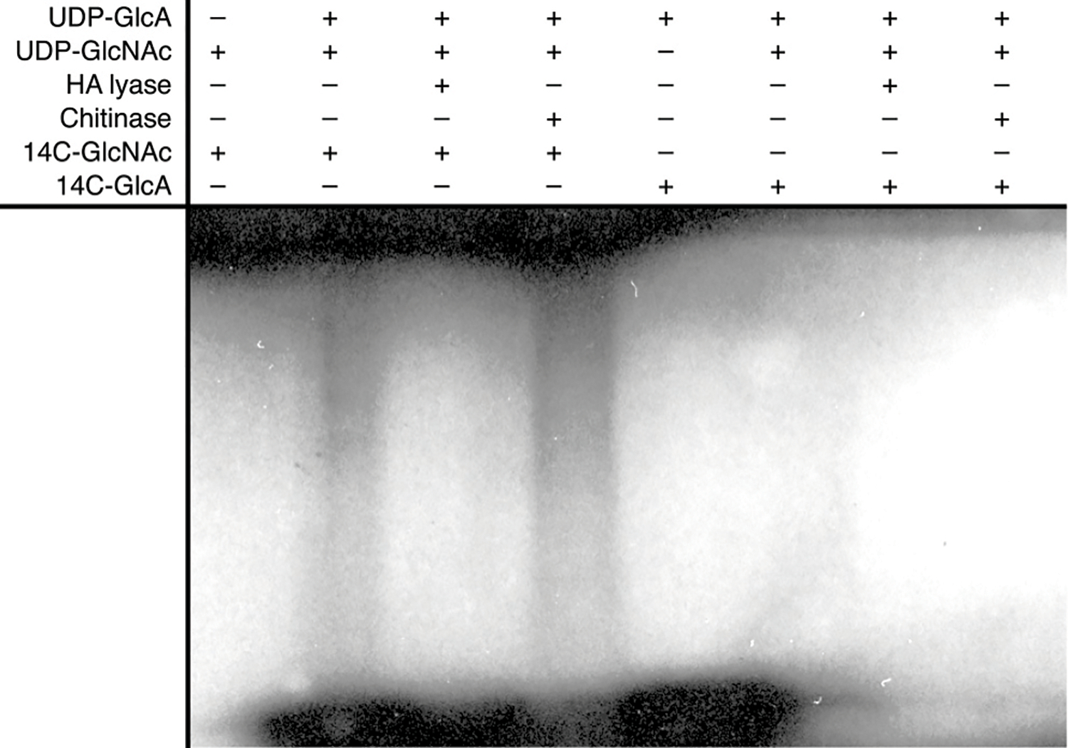 Extended Data Fig. 8|