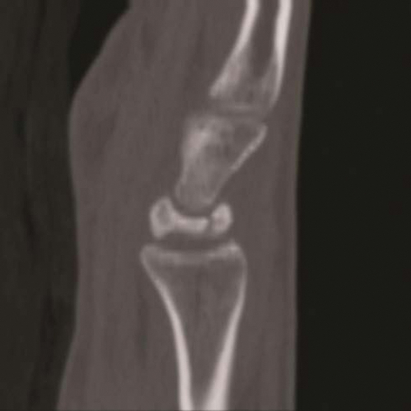 Fig. 8