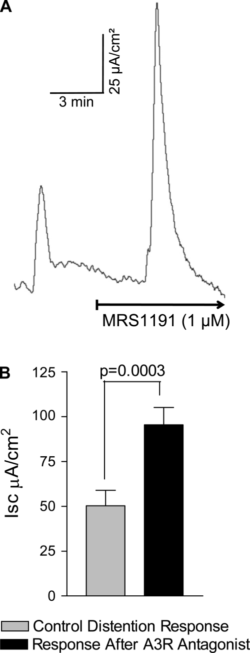 Fig. 11.