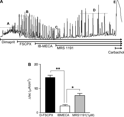 Fig. 8.