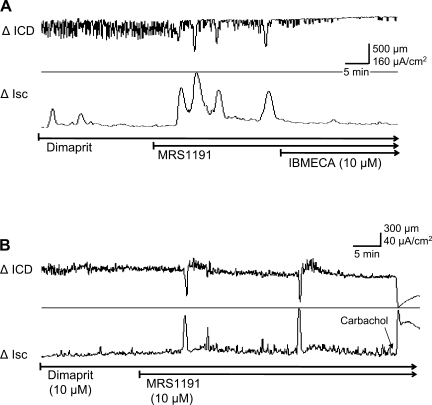 Fig. 9.