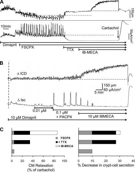 Fig. 10.