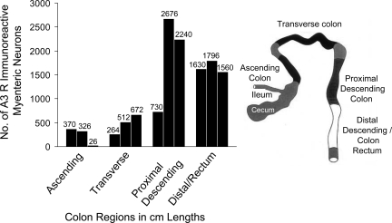 Fig. 13.