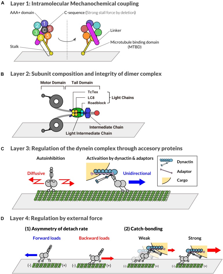 FIGURE 1