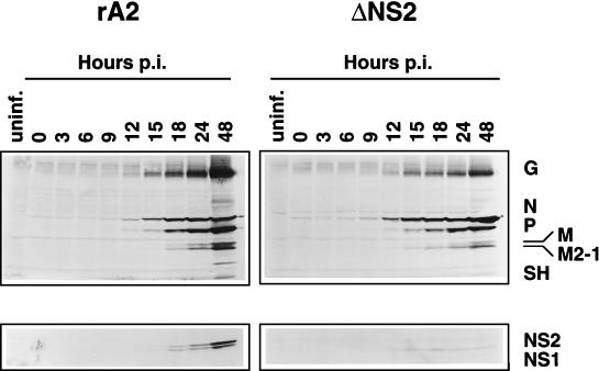 FIG. 7