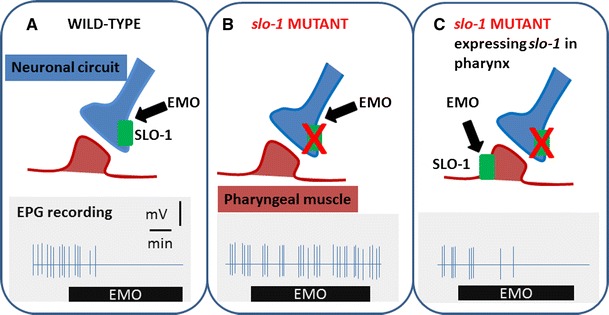 Fig. 2