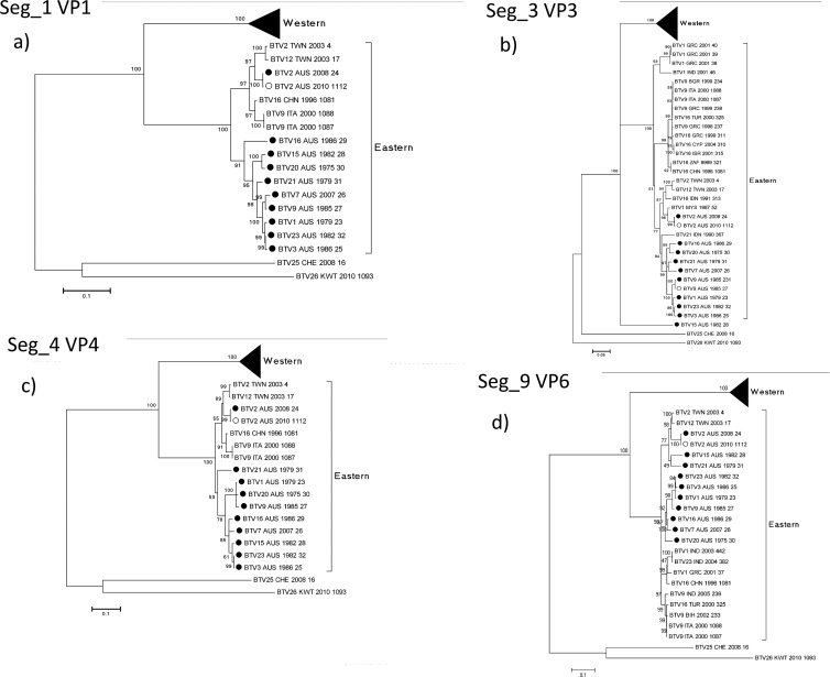 Fig 2