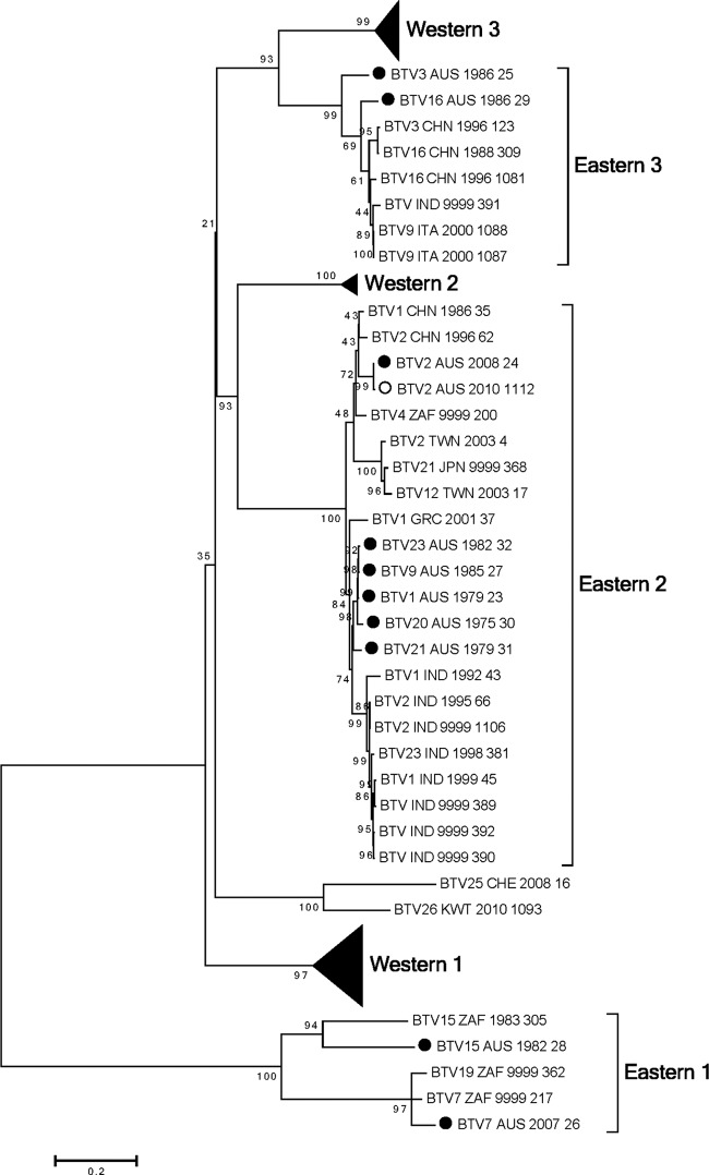 Fig 1