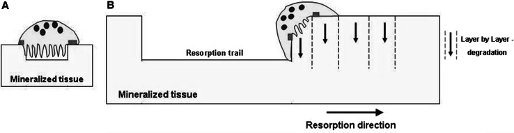 Fig. 7