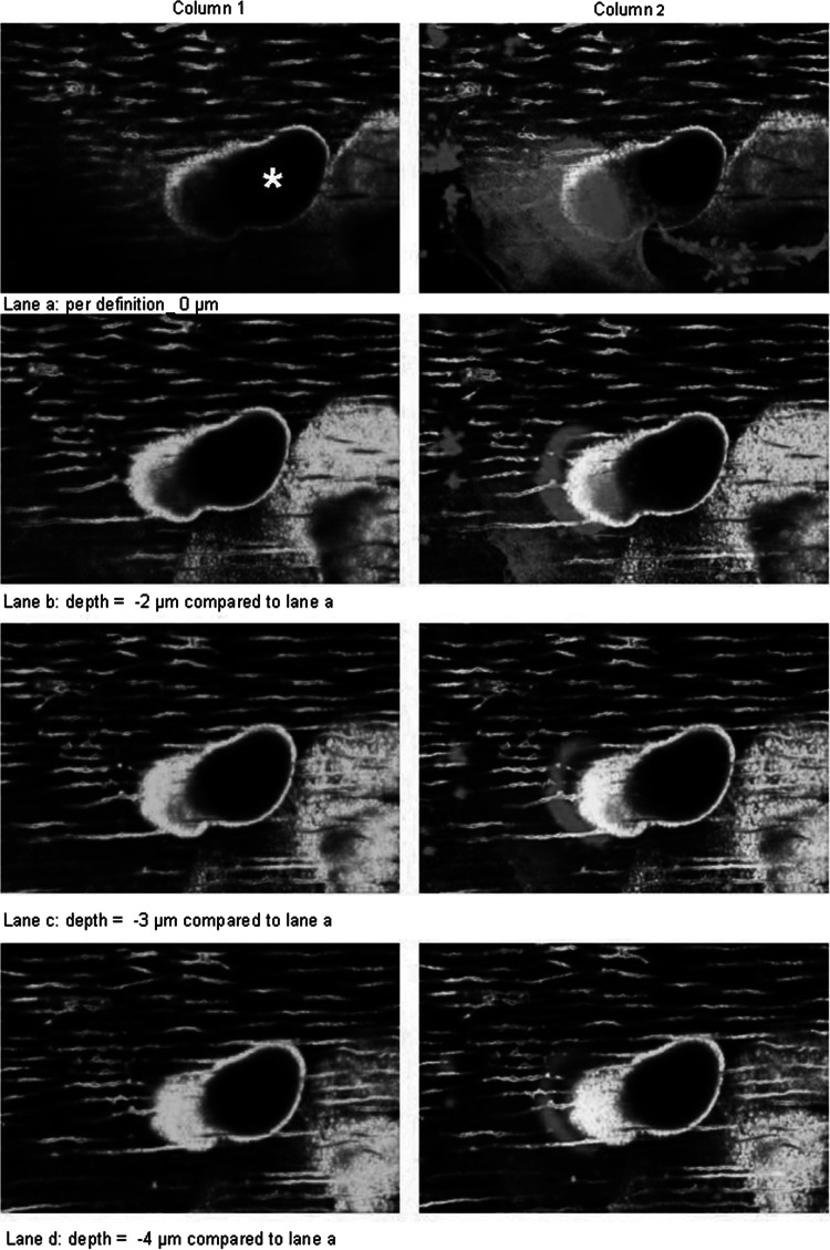 Fig. 6