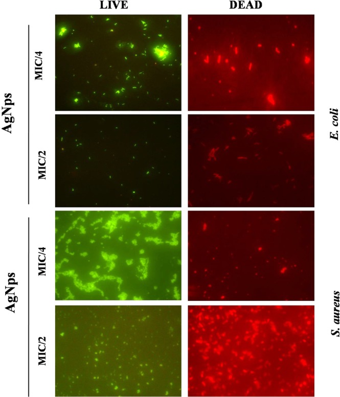 Figure 6