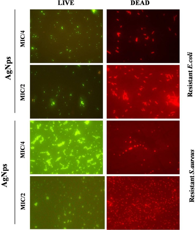 Figure 7