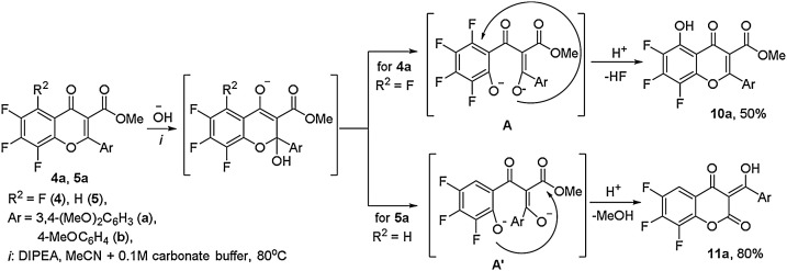 Scheme 2