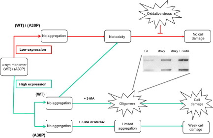 graphic file with name gr1ab.jpg