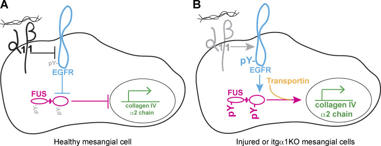 Figure 9.