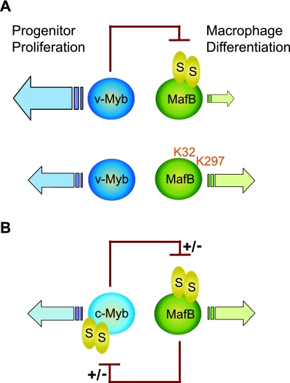 FIG. 9.