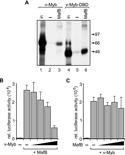 FIG. 6.