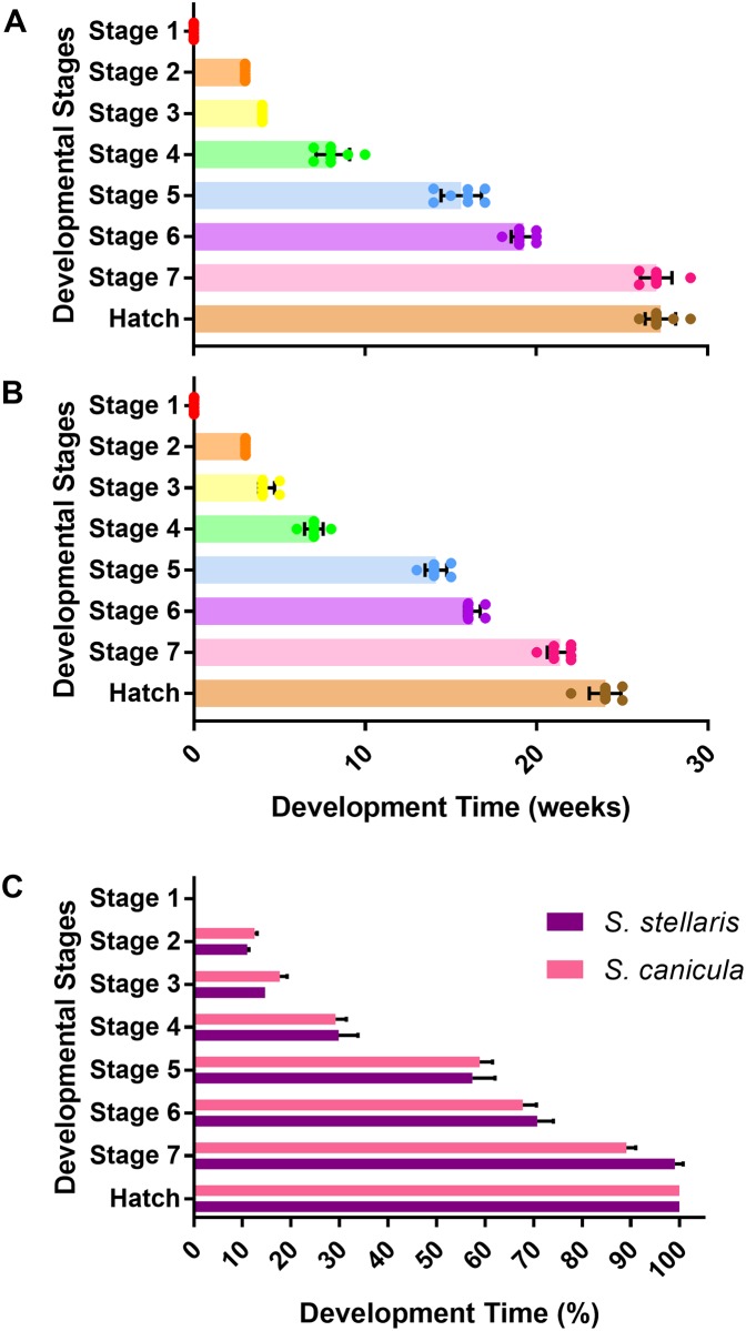 Fig 12