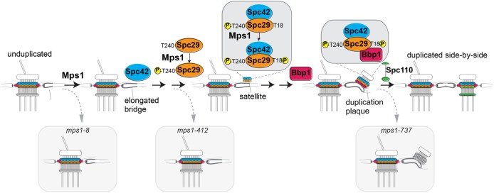 FIGURE 9: