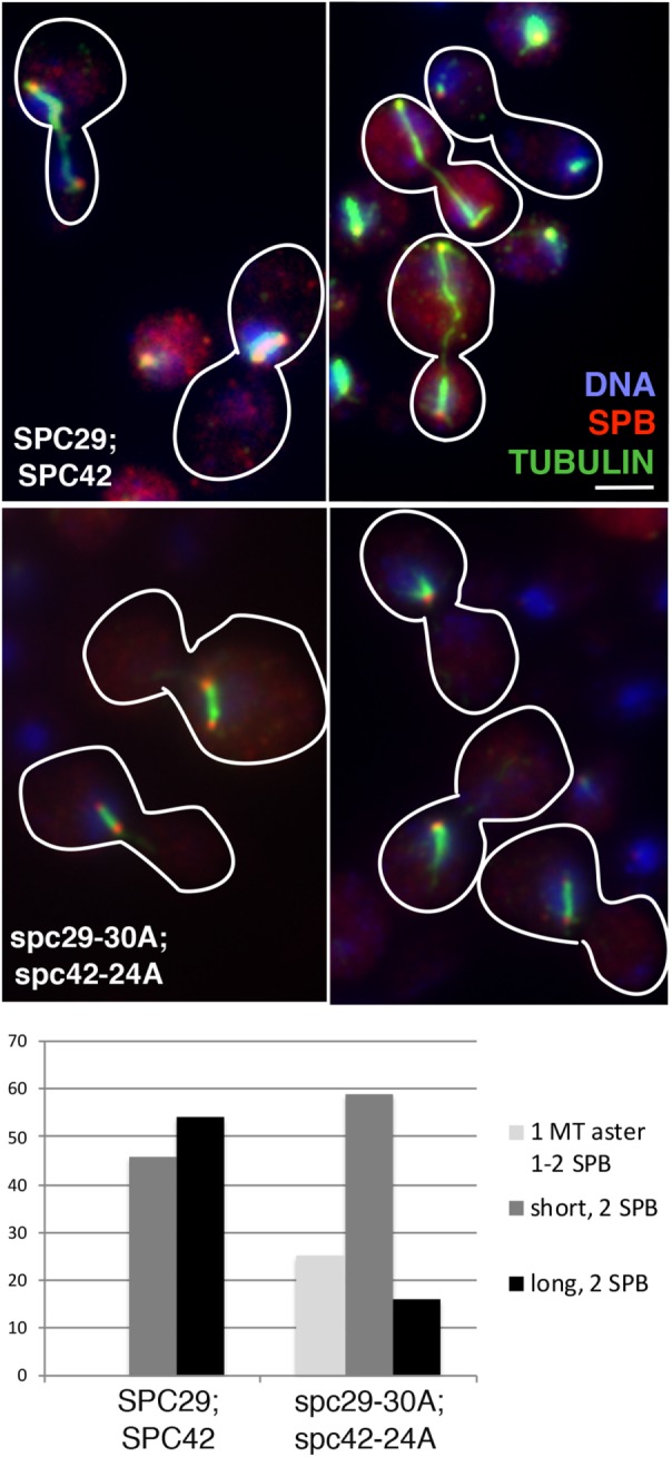 FIGURE 5: