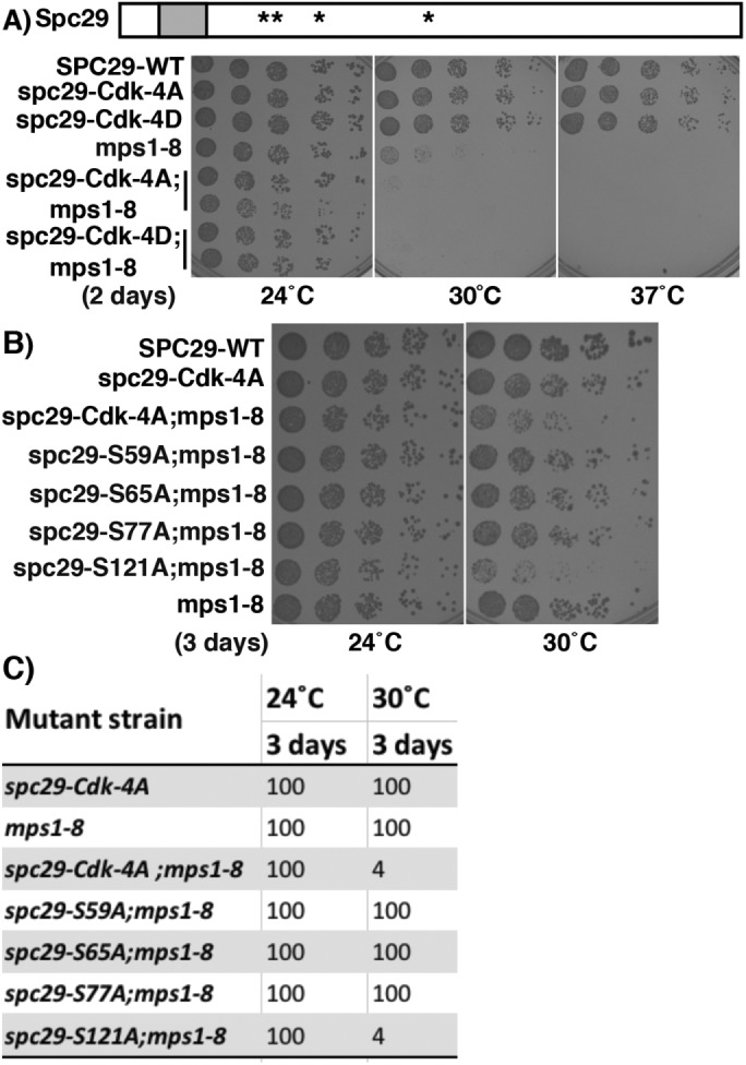 FIGURE 1: