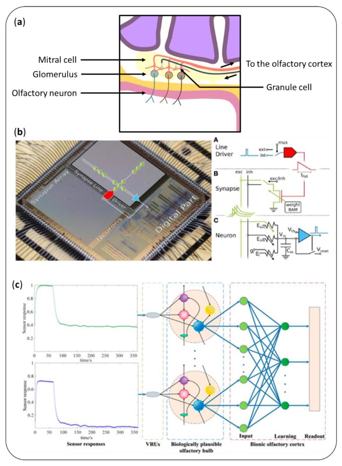 Figure 11