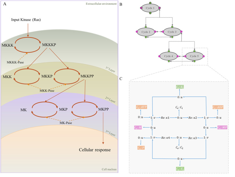 Fig 6