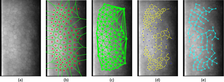 Figure 3.