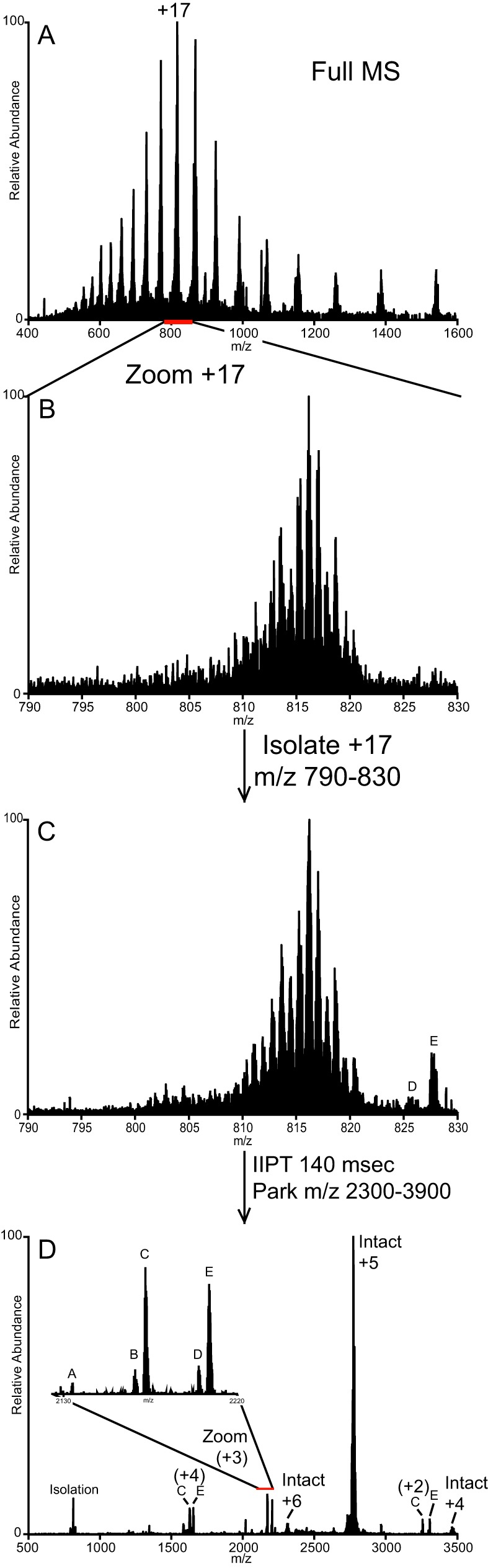 Fig. 5.