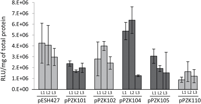 Fig. 3.