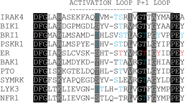 Fig. 11.