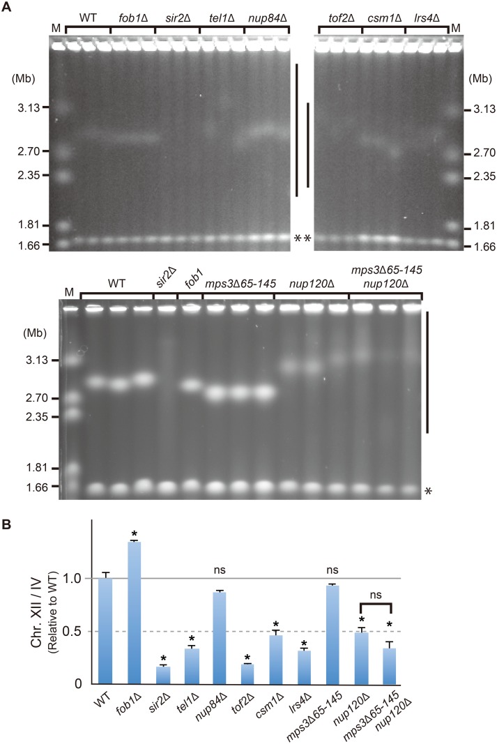 Fig 7