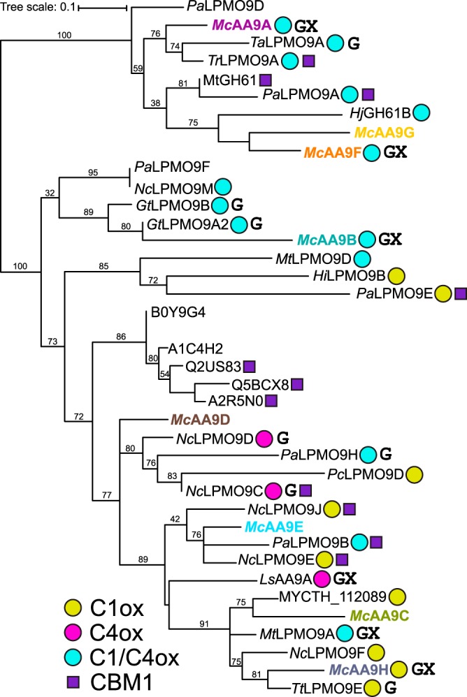 FIG 1