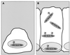 FIG. 10