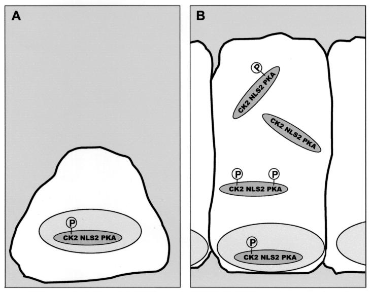 FIG. 10