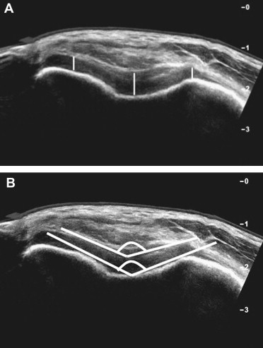 Fig. 8