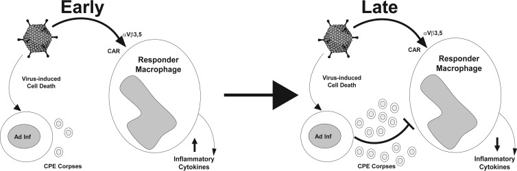 FIG 8