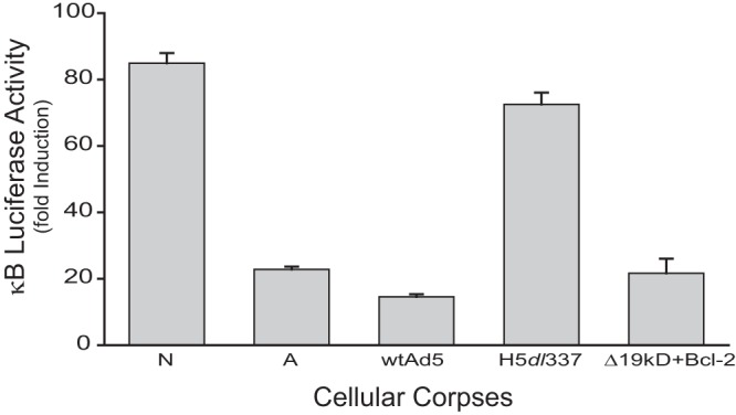 FIG 6