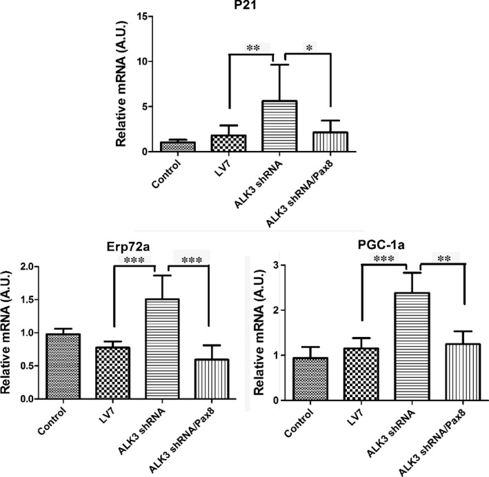 Figure 7