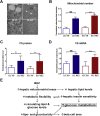 Figure 6