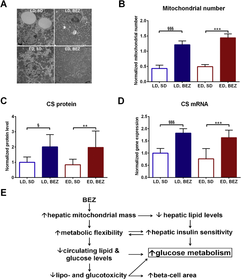 Figure 6