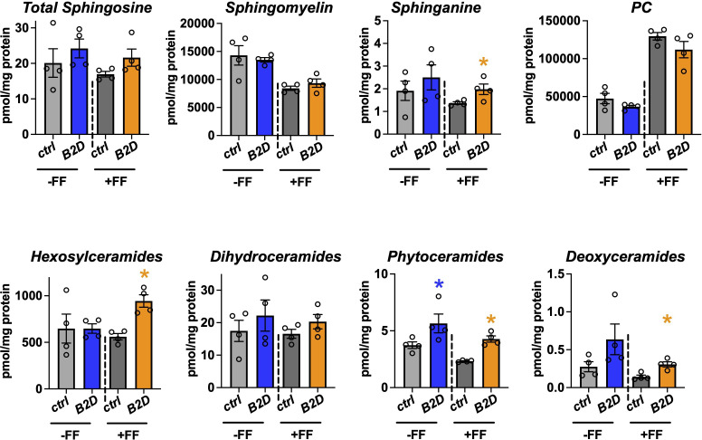 Figure 5—figure supplement 1.