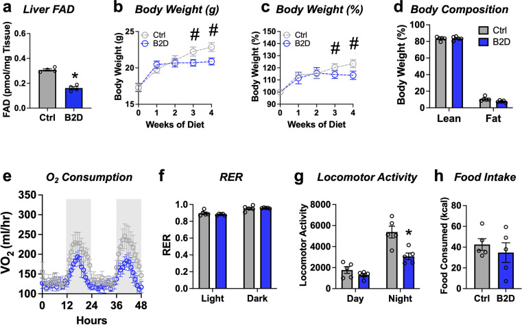 Figure 1—figure supplement 2.