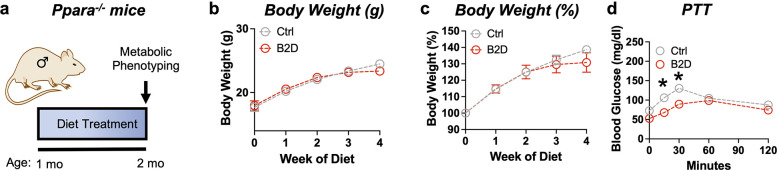 Figure 3—figure supplement 1.